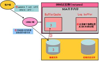 Oracle數(shù)據(jù)庫管理 深度剖析與優(yōu)化IO性能以提升數(shù)據(jù)庫服務(wù)